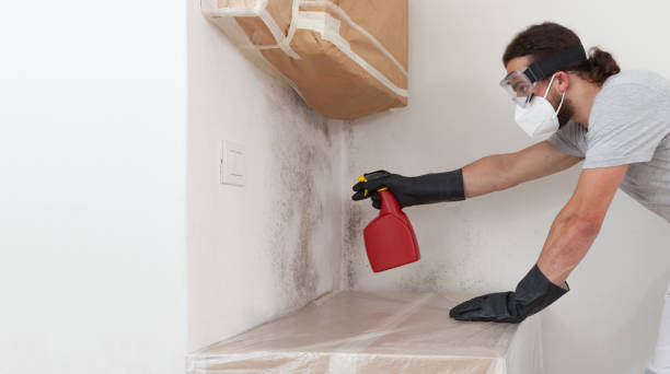 Professional Basement Mold Remediation technician working in Lawrence Township, NJ