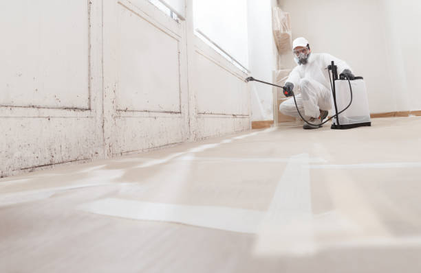24/7 Emergency Basement Mold Remediation experts in Lawrence Township, NJ