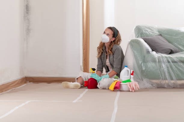 Reliable Basement Mold Remediation contractor in Lawrence Township, NJ by 24 Hour Mold Removal